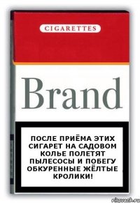 После приёма этих сигарет на Садовом колье полетят пылесосы и побегу обкуренные жёлтые кролики!