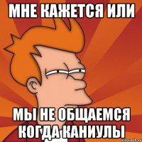 МНЕ КАЖЕТСЯ ИЛИ МЫ НЕ ОБЩАЕМСЯ КОГДА КАНИУЛЫ