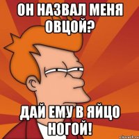 Он назвал меня овцой? Дай ему в яйцо ногой!