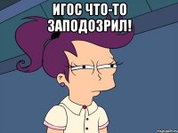 игос что-то заподозрил! 