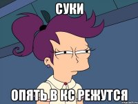 Суки опять в КС режутся