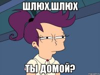 Шлюх,шлюх ты домой?