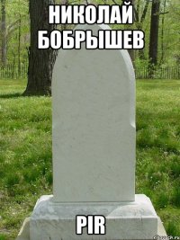 Николай Бобрышев PIR