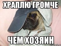 храплю громче чем хозяин