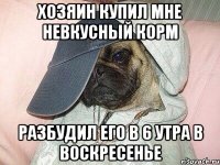 хозяин купил мне невкусный корм разбудил его в 6 утра в воскресенье