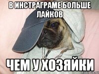 в инстраграме больше лайков чем у хозяйки