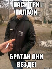 наси три паласи братан они везде!
