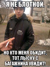 я не блотной, но кто меня обидит, тот лыску с багажника увидит!