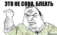 это не сова, блеать