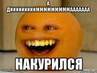 А ДИИИИИИИИИМММММММММААААААА НАКУРИЛСЯ