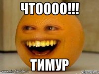 чтоооо!!! тимур