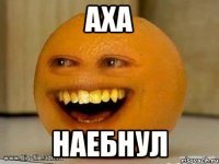 Аха Наебнул