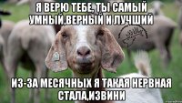 Я верю тебе, ты самый умный,верный и лучший Из-за месячных я такая нервная стала,извини