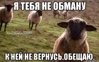 Я тебя не обману К ней не вернусь.Обещаю.