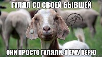 Гулял со своей бывшей они просто гуляли, я ему верю