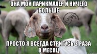 Она мой парикмахер и ничего больше Просто я всегда стригусь 2 раза в месяц