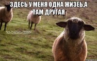 здесь у меня одна жизеь,а там другая 