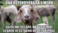 Она переночевала у меня было уже поздно, маршрутки не ходили, не оставлю же я ее на улице