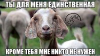 ты для меня единственная кроме тебя мне никто не нужен