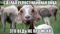 сделал репост наивная овца это ведь не про меня