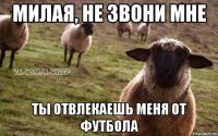 Милая, не звони мне Ты отвлекаешь меня от футбола