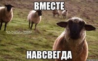 Вместе навсвегда