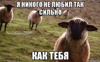 я никого не любил так сильно как тебя