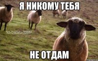 я никому тебя не отдам