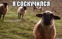 я соскучился 