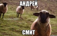 Андрей Смит