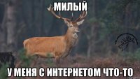 милый у меня с интернетом что-то