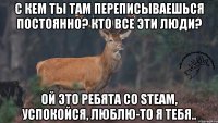 С кем ты там переписываешься постоянно? Кто все эти люди? Ой это ребята со steam, успокойся, люблю-то я тебя..