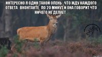 Интересно я один такой олень , что жду каждого ответа `вконтакте` по 20 минут и она говорит что ничего не делает . 