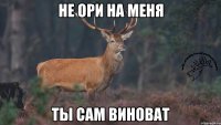 Не ори на меня ты сам виноват