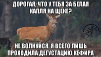 Дорогая, что у тебя за белая капля на щеке? Не волнуйся, я всего лишь проходила дегустацию кефира