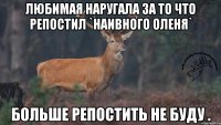 любимая наругала за то что репостил `Наивного оленя` Больше репостить не буду .