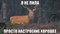 я не пила просто настроение хорошее