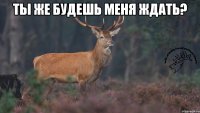 Ты же будешь меня ждать? 