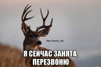  я сейчас занята, перезвоню