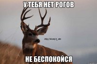 у тебя нет рогов не беспокойся