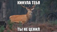 Кинула тебя Ты не ценил