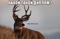 какой такой диплом? 