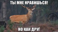 Ты мне нравишься! Но как друг