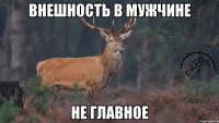 Внешность в мужчине не главное