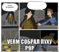  Verm собрал пуху р9р