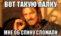 Вот такую палку Мне об спину сломали