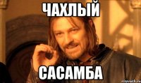 Чахлый САСАМБА