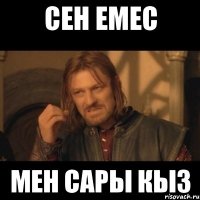 сен емес мен САРЫ КЫЗ