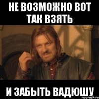 НЕ ВОЗМОЖНО ВОТ ТАК ВЗЯТЬ И ЗАБЫТЬ ВАДЮШУ