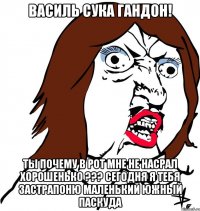 Василь сука Гандон! Ты почему в рот мне не насрал хорошенько ??? Сегодня я тебя застрапоню маленький южный паскуда